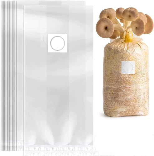 41dlTEFS65L._SL500_.jpg