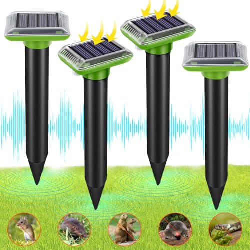 51TNVKu9boL._SL500_-2.jpg