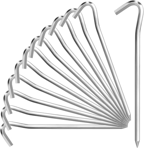 41JcOlhhObL._SL500_.jpg