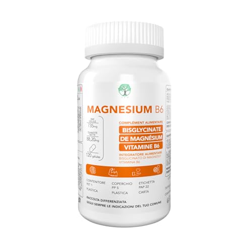 31VYSeX5e-L._SL500_.jpg