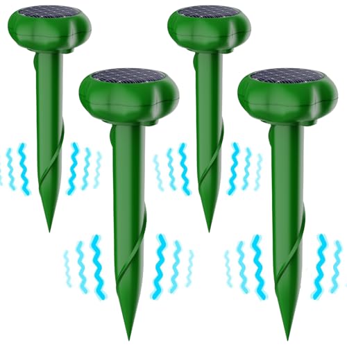 413qEpdYvoL._SL500_.jpg