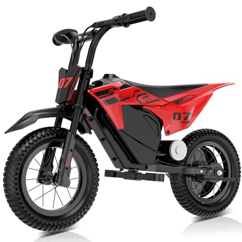 41dX-4SC7EL._SL500_.jpg
